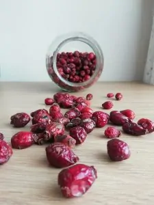 Organik Kuş Burnu Kurusu - 1 G